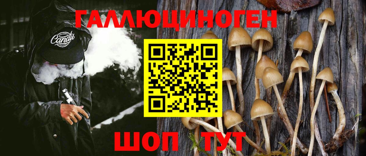 Псилоцибиновые грибы Magic Shrooms Богородицк